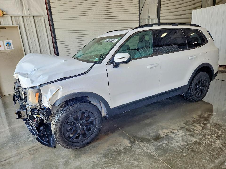Продажа на аукционе авто 2024 Kia Telluride, vin: 5XYP5DGC8RG464460, номер лота: 58126716