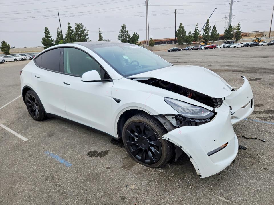 55805276 :رقم المزاد ، 5YJYGDED7MF125909 vin ، 2021 Tesla Model Y مزاد بيع