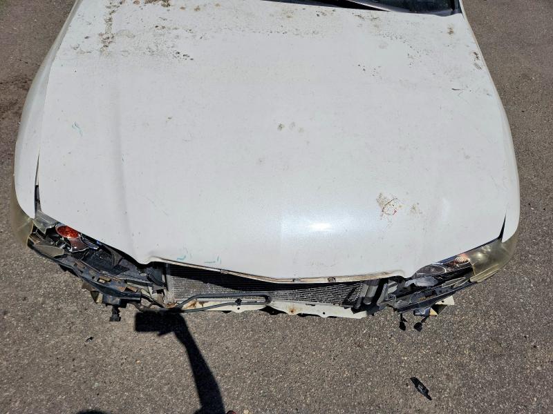 55617726 :رقم المزاد ، JH4CL95968C016843 vin ، 2008 Acura Tsx مزاد بيع