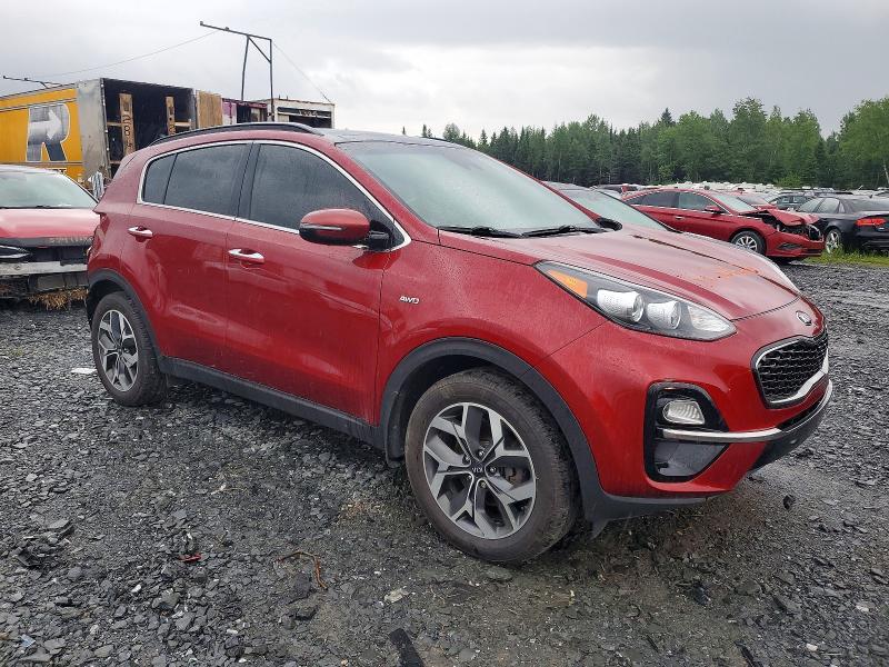 Продаж на аукціоні авто 2020 Kia Sportage, vin: KNDPNCAC2L7649577, номер лоту: 56306276