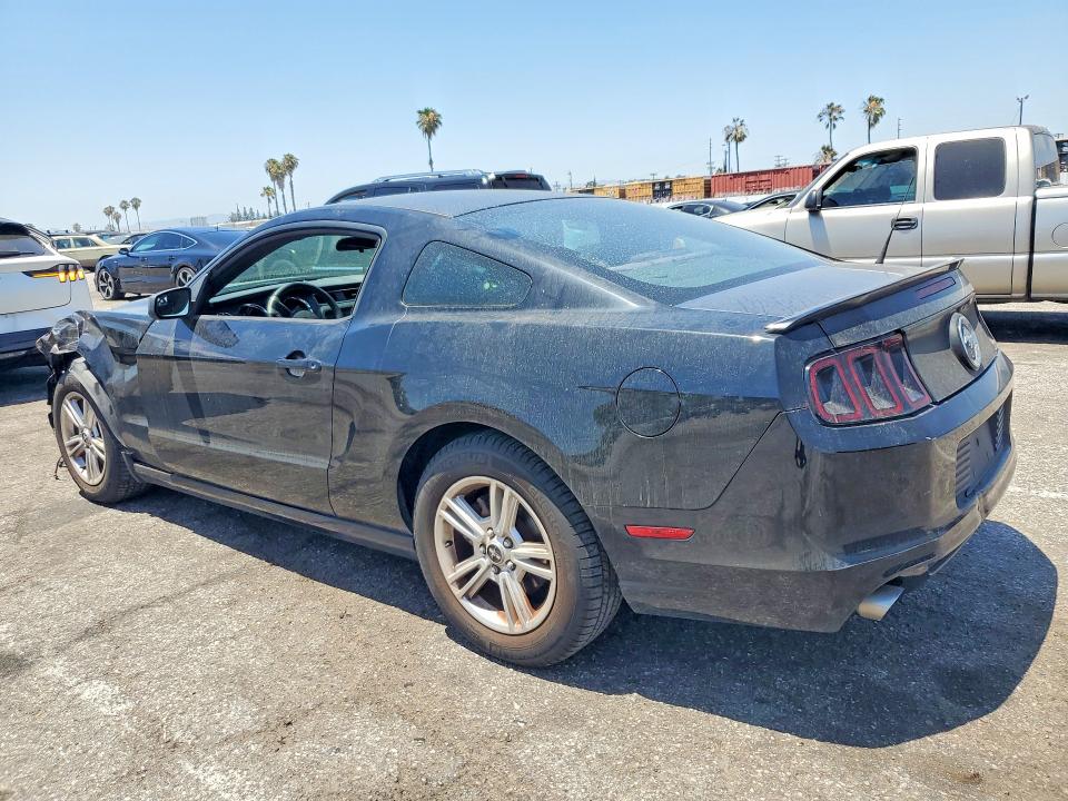 55636786 :رقم المزاد ، 1ZVBP8AM8D5282401 vin ، 2013 Ford Mustang مزاد بيع