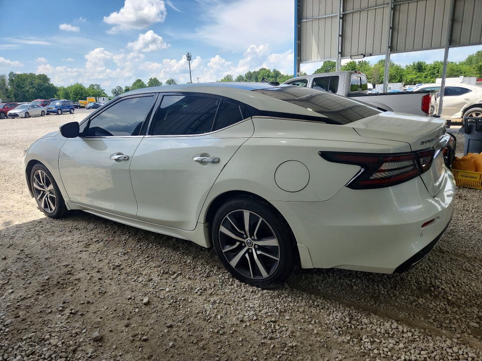 54969036 :رقم المزاد ، 1N4AA6AV8KC371123 vin ، 2019 Nissan Maxima مزاد بيع
