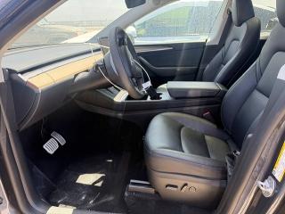 Aukcja sprzedaży 2023 Tesla Model Y, vin: 7SAYGDEF3PF766077, numer aukcji: 50249876