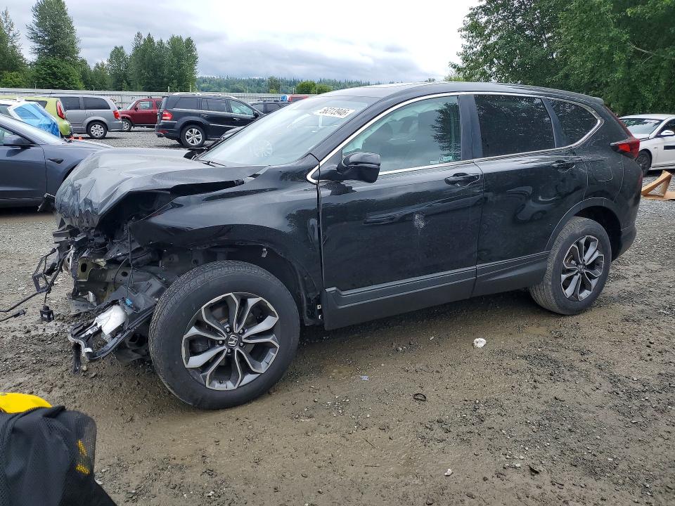 Auction sale of the 2020 Honda Cr-v, vin: 5J6RW2H57LA007375, lot number: 56313946