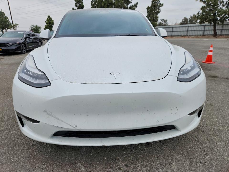 54956556 :رقم المزاد ، 5YJYGAEE6MF243747 vin ، 2021 Tesla Model Y مزاد بيع