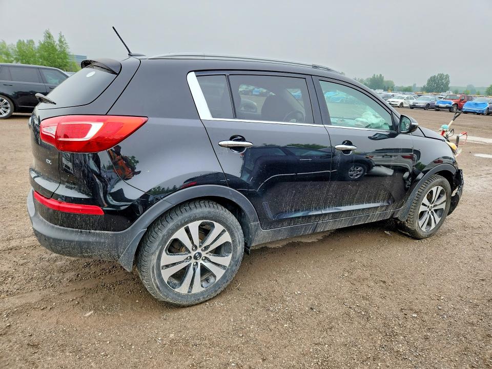 Продаж на аукціоні авто 2013 Kia Sportage, vin: KNDPC3A21D7517697, номер лоту: 52711346