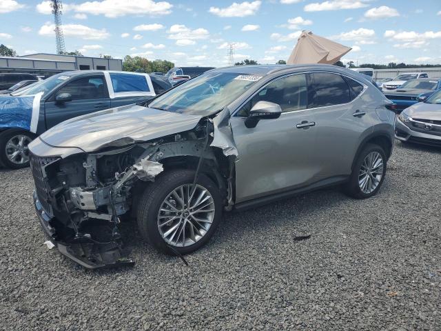 Aukcja sprzedaży 2025 Lexus Nx, vin: 2T2GGCEZ9SC071043, numer aukcji: 56031336