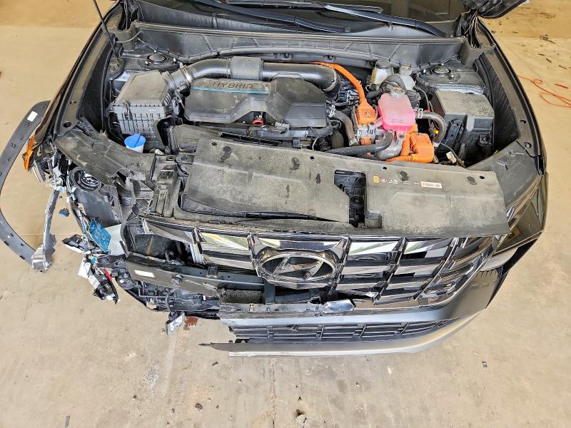 Продажа на аукционе авто 2024 Hyundai Tucson, vin: KM8JFCD10RU154037, номер лота: 57393426