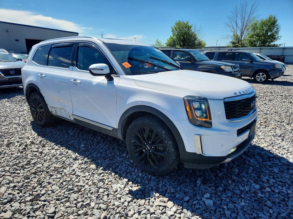 Aukcja sprzedaży 2022 Kia Telluride, vin: 5XYP54HC9NG256452, numer aukcji: 58381506
