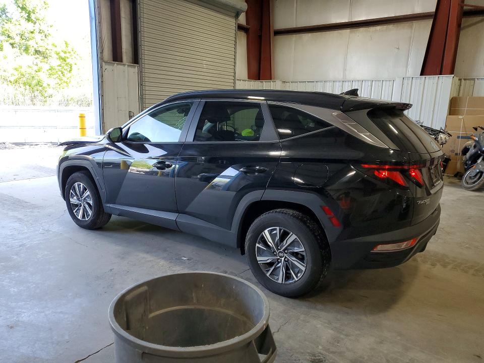 2024 Hyundai Tucson მანქანა იყიდება აუქციონზე, vin: KM8JBCD12RU172339, აუქციონის ნომერი: 55462796