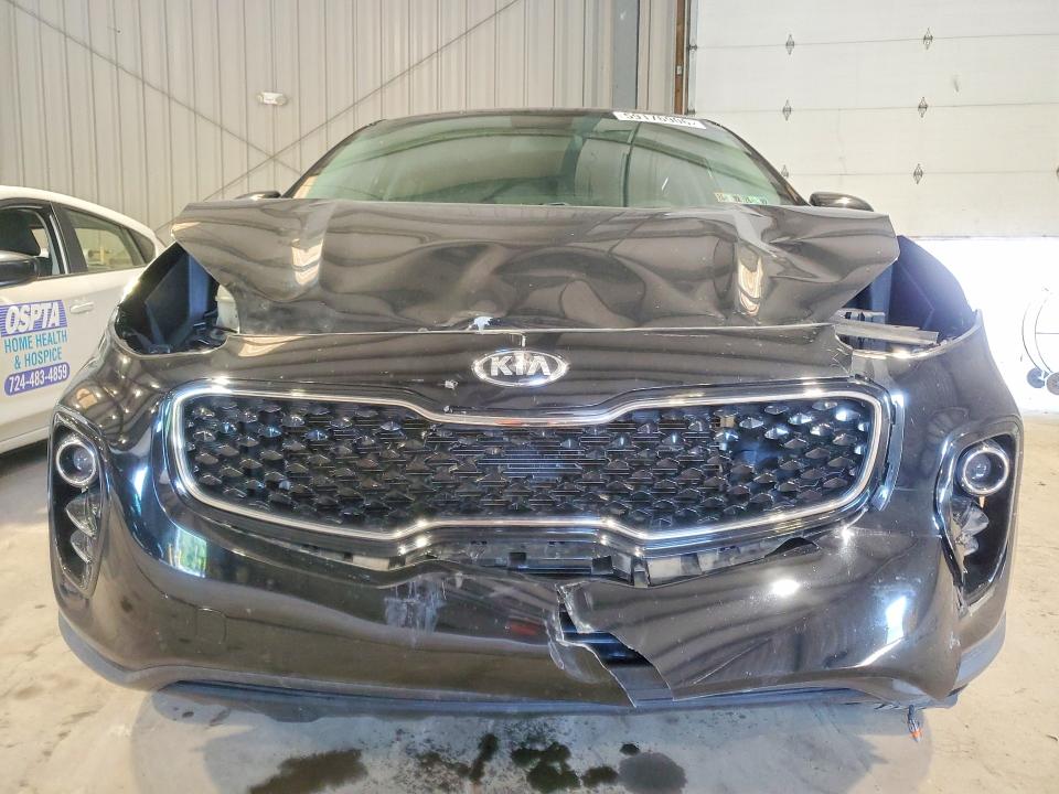 Продаж на аукціоні авто 2018 Kia Sportage, vin: KNDPMCAC8J7400636, номер лоту: 59176906