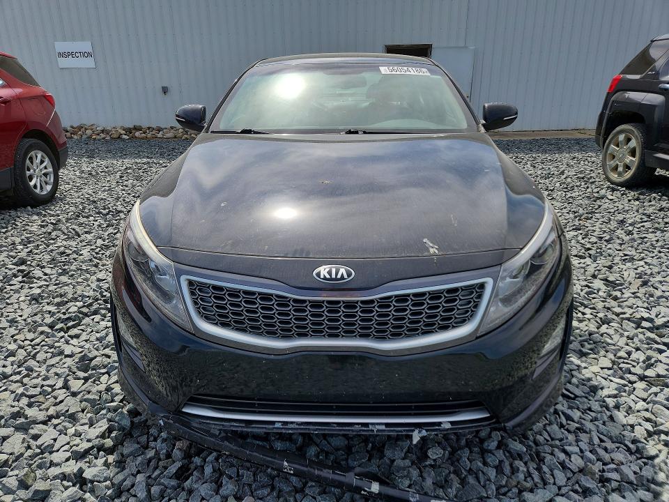 Продаж на аукціоні авто 2016 Kia Optima, vin: KNAGN4AD6G5098292, номер лоту: 56054186