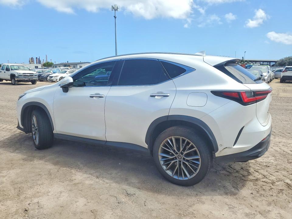 2022 Lexus Nx მანქანა იყიდება აუქციონზე, vin: JTJHKCEZ9N2002263, აუქციონის ნომერი: 56181706
