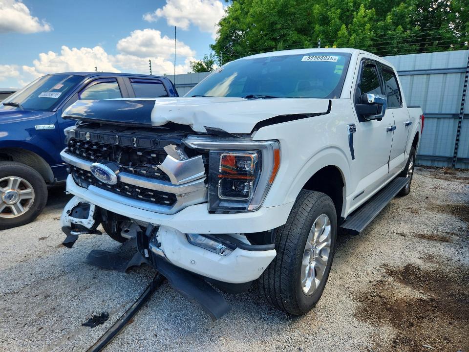 Auction sale of the 2022 Ford F150, vin: 1FTFW1ED0NFB02719, lot number: 56566026
