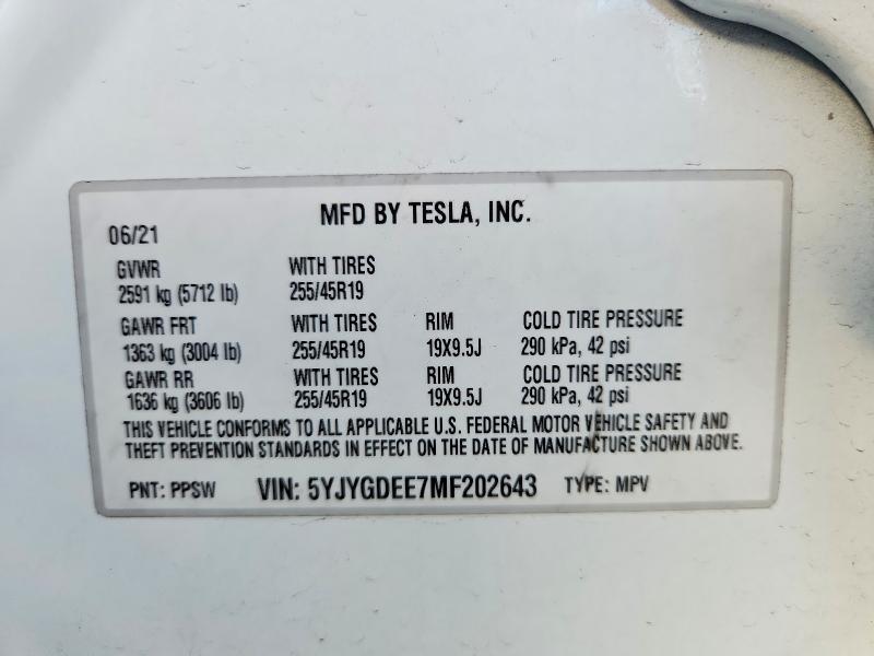 56995346 :رقم المزاد ، 5YJYGDEE7MF202643 vin ، 2021 Tesla Model Y مزاد بيع