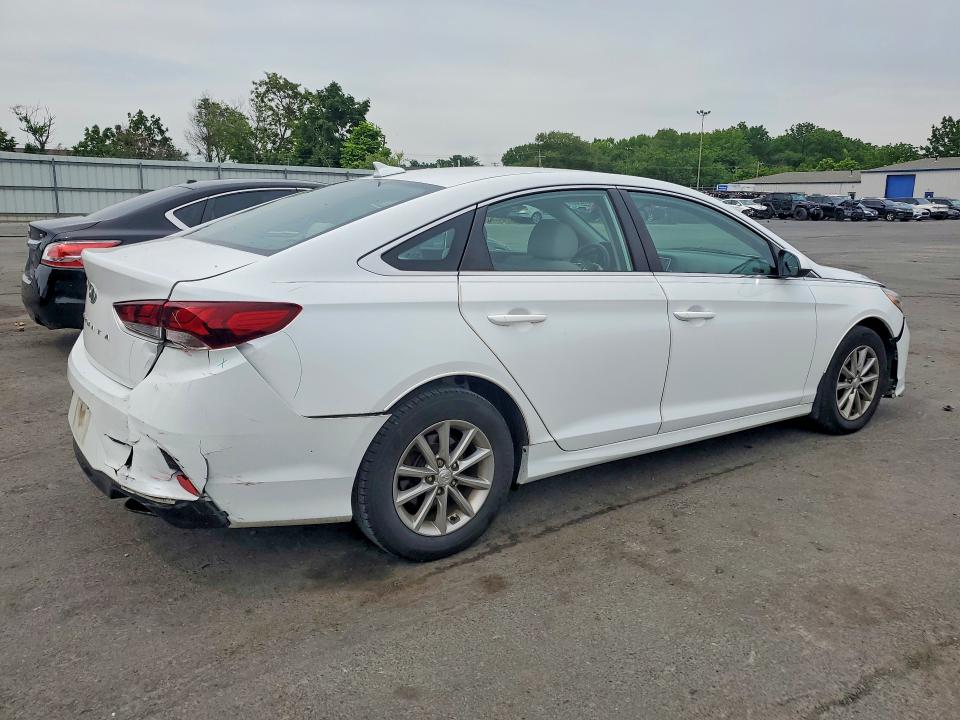 Продаж на аукціоні авто 2019 Hyundai Sonata, vin: 5NPE24AF0KH802225, номер лоту: 59065266