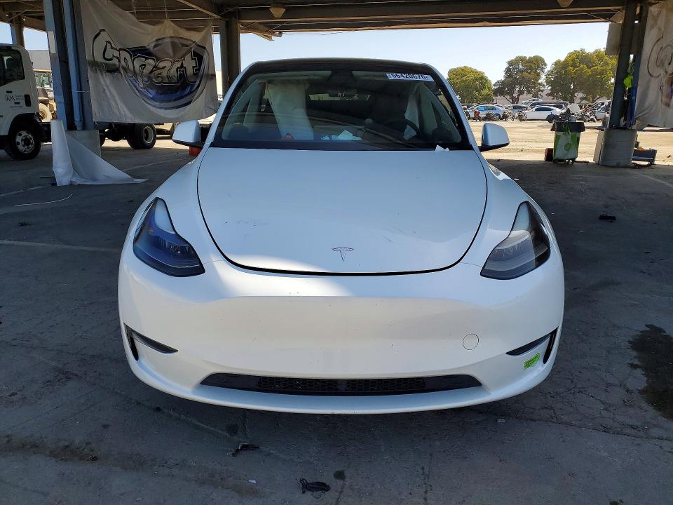 Продажа на аукционе авто 2023 Tesla Model Y, vin: 7SAYGDEE1PF662548, номер лота: 56420676