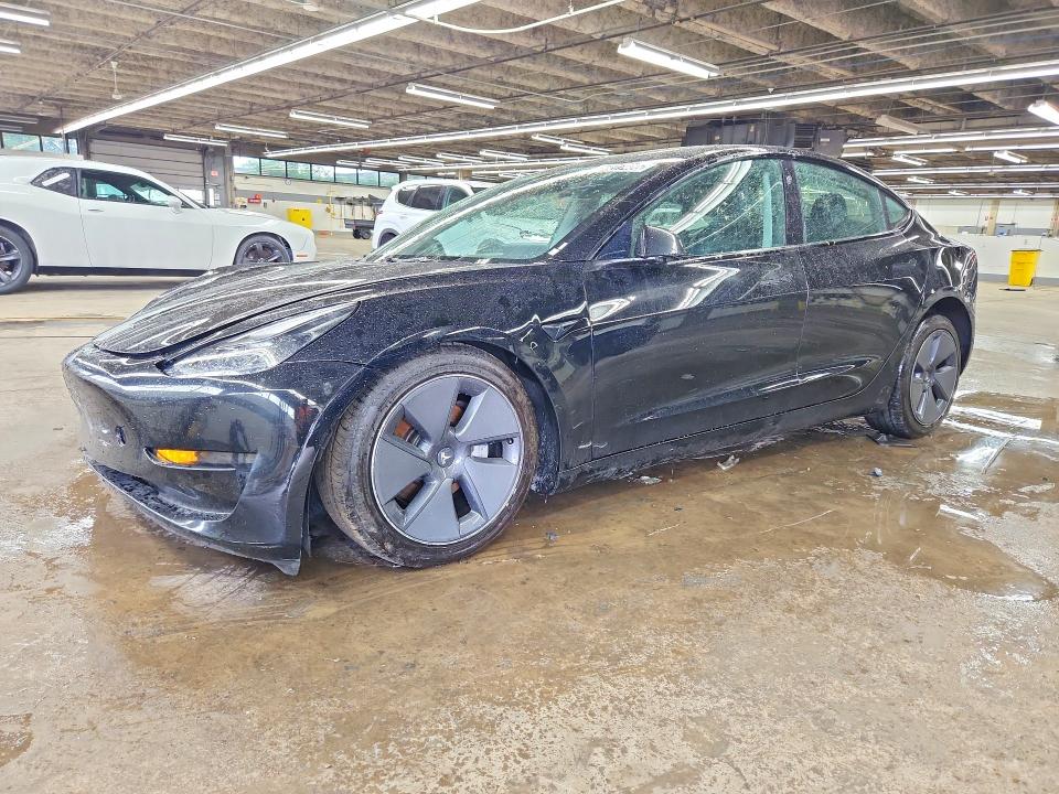 Продажа на аукционе авто 2023 Tesla Model 3, vin: 5YJ3E1EA5PF450986, номер лота: 57217466