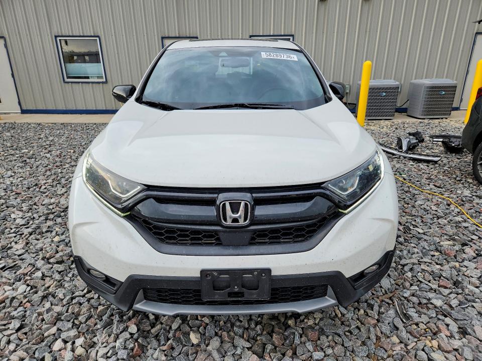 Aukcja sprzedaży 2019 Honda Cr-v, vin: 5J6RW2H83KL018404, numer aukcji: 58289736