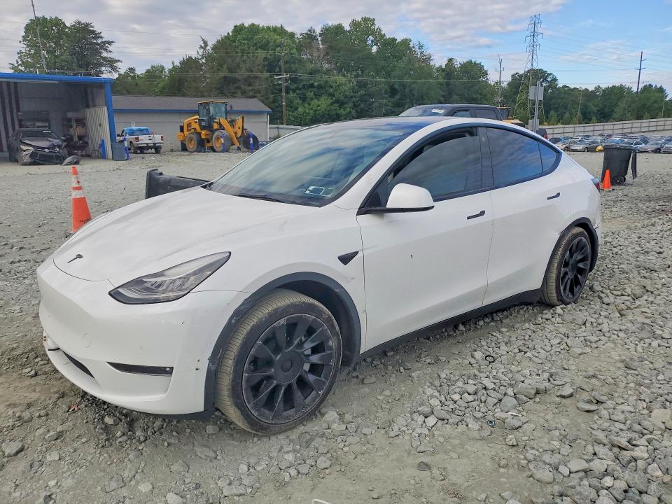 Продаж на аукціоні авто 2021 Tesla Model Y, vin: 5YJYGAEE1MF195414, номер лоту: 56985516