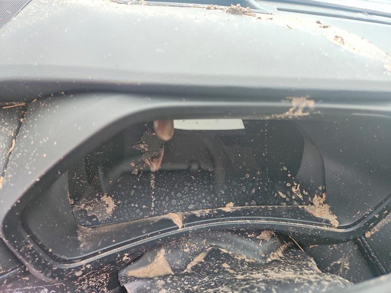 Aukcja sprzedaży 2025 Toyota Grand Highlander, vin: 5TDAAAB54SS081195, numer aukcji: 53303446