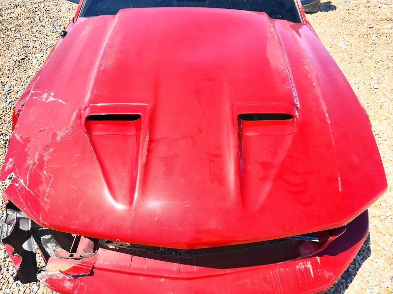 56833376 :رقم المزاد ، 1ZVHT80N985132979 vin ، 2008 Ford Mustang مزاد بيع