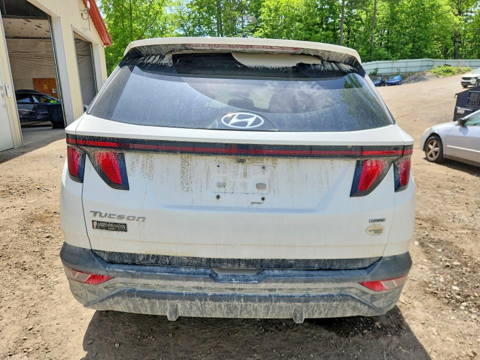 Продажа на аукционе авто 2024 Hyundai Tucson, vin: 5NMJBCDE1RH297184, номер лота: 55415266