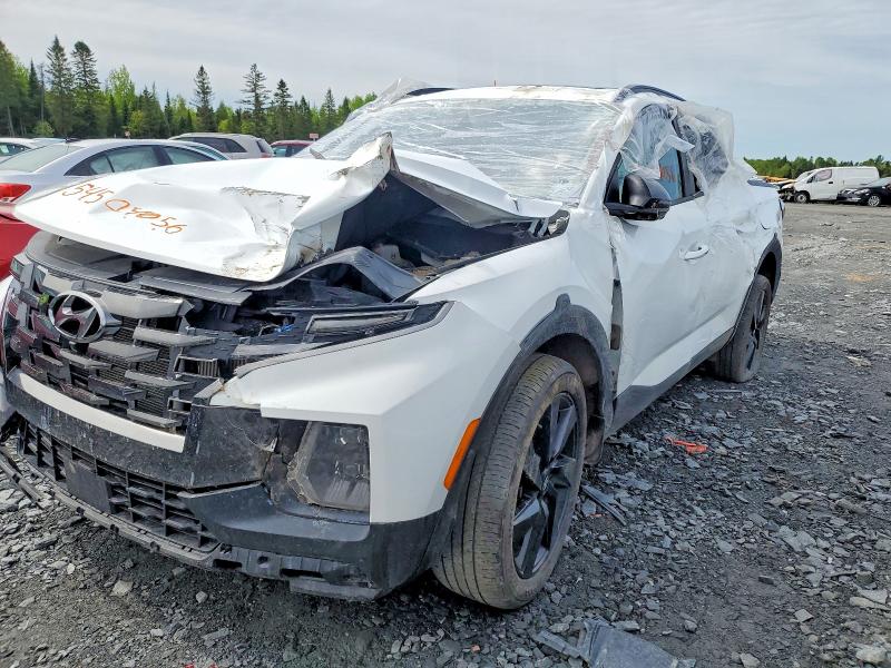 2024 Hyundai Santa Cruz მანქანა იყიდება აუქციონზე, vin: 5NTJEDDF0RH102900, აუქციონის ნომერი: 54504056