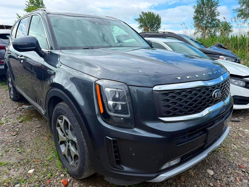 2021 Kia Telluride მანქანა იყიდება აუქციონზე, vin: 5XYP3DHCXMG179126, აუქციონის ნომერი: 58201156