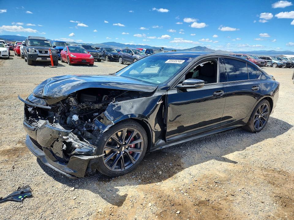 Продаж на аукціоні авто 2020 Cadillac Ct5-v, vin: 1G6DV5RW0L0146851, номер лоту: 55935246