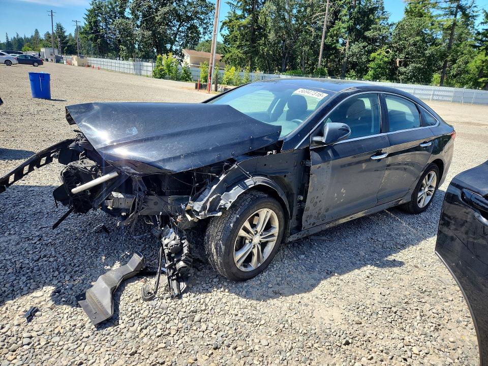 Продажа на аукционе авто 2019 Hyundai Sonata, vin: 5NPE34AF4KH769257, номер лота: 56947316