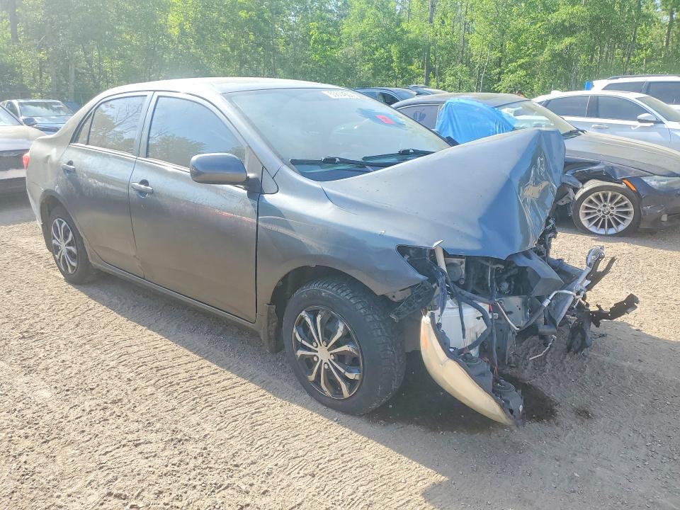 55604356 :رقم المزاد ، 2T1BU4EE2AC337950 vin ، 2010 Toyota Corolla مزاد بيع