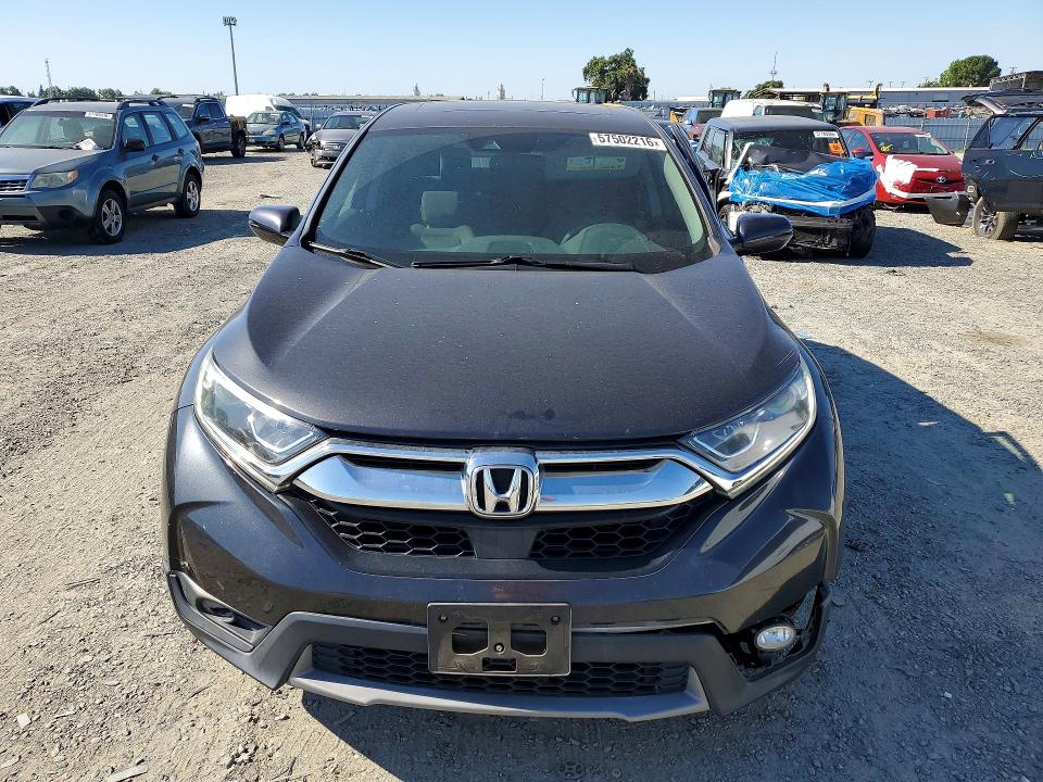 Продаж на аукціоні авто 2019 Honda Cr-v, vin: 5J6RW1H57KA048940, номер лоту: 57502216