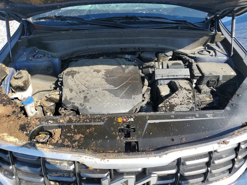 2024 Kia Telluride მანქანა იყიდება აუქციონზე, vin: 5XYP64GC7RG561503, აუქციონის ნომერი: 56643446