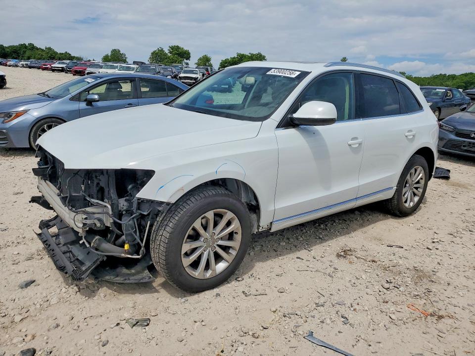 Auction sale of the 2014 Audi Q5, vin: WA1LFAFP3EA113877, lot number: 53900256