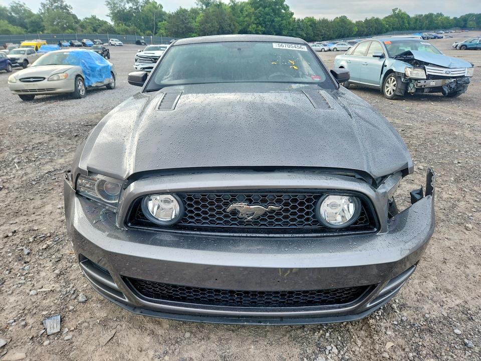 Продаж на аукціоні авто 2014 Ford Mustang, vin: 1ZVBP8CFXE5283565, номер лоту: 56705456