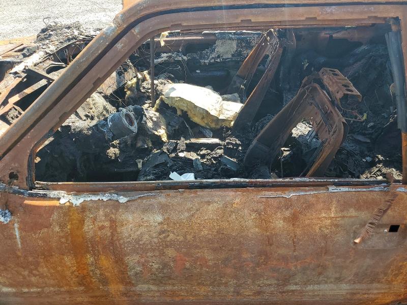 Aukcja sprzedaży 1984 Ford Mustang, vin: 1FABP28M2EF225358, numer aukcji: 59072066