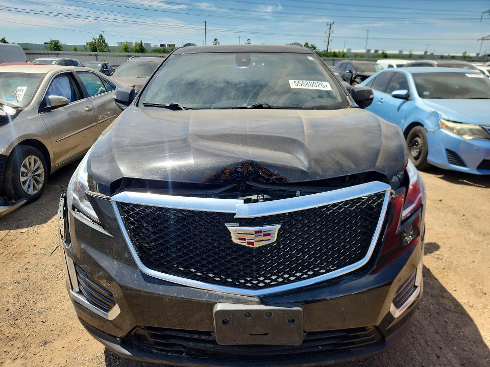 55880026 :رقم المزاد ، 1GYKNGRS6MZ105094 vin ، 2021 Cadillac Xt5 مزاد بيع