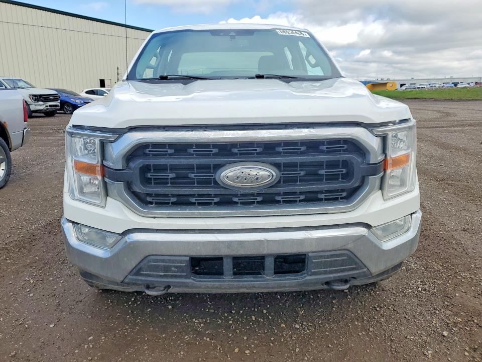 Продажа на аукционе авто 2021 Ford F150, vin: 1FTFW1E54MFB19014, номер лота: 56055466