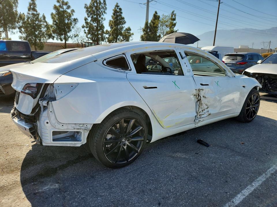 2021 Tesla Model 3 მანქანა იყიდება აუქციონზე, vin: 5YJ3E1EA4MF921229, აუქციონის ნომერი: 56076856