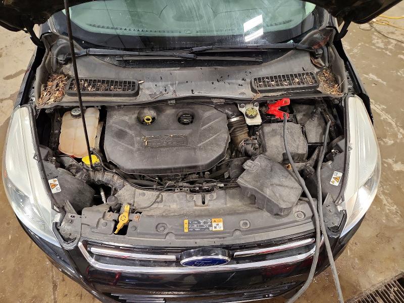 Продаж на аукціоні авто 2013 Ford Escape, vin: 1FMCU9J96DUD77218, номер лоту: 55745906