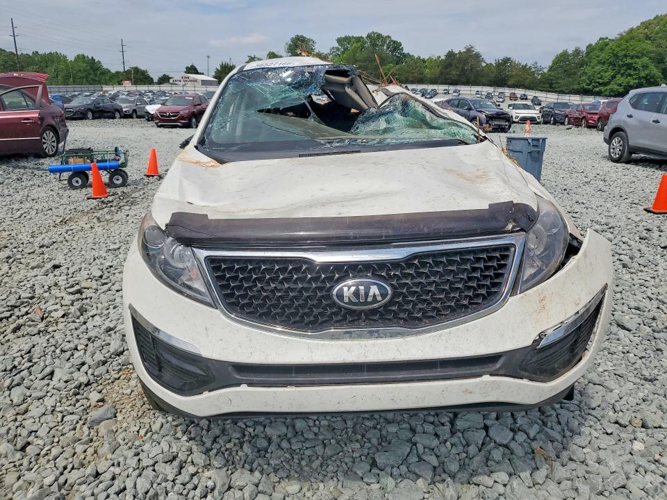 Продаж на аукціоні авто 2016 Kia Sportage, vin: KNDPB3AC7G7806499, номер лоту: 56527166