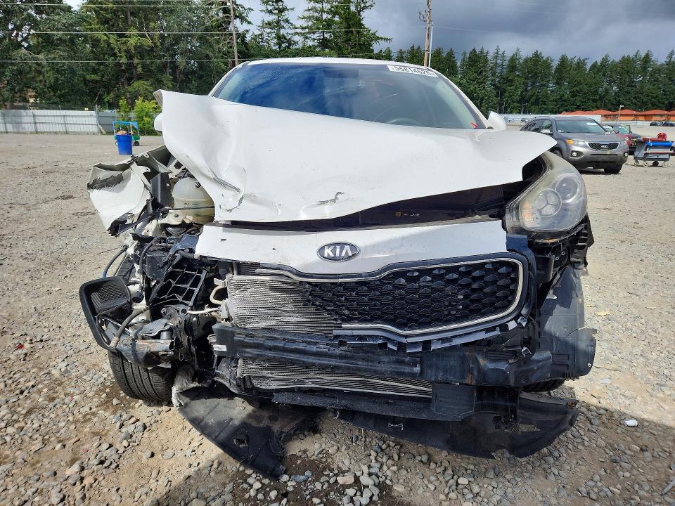 55814626 :رقم المزاد ، KNDPM3AC5K7563942 vin ، 2019 Kia Sportage مزاد بيع