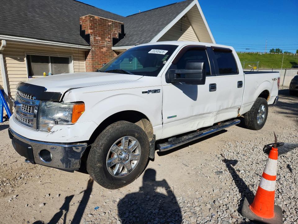 Продажа на аукционе авто 2014 Ford F150, vin: 1FTFW1ET8EFB96677, номер лота: 55345426