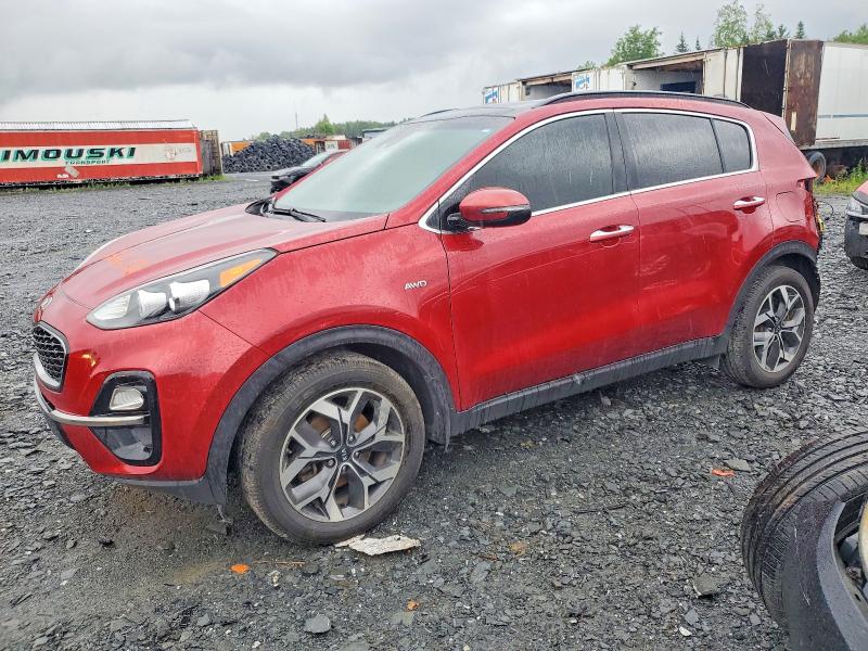 Продаж на аукціоні авто 2020 Kia Sportage, vin: KNDPNCAC2L7649577, номер лоту: 56306276