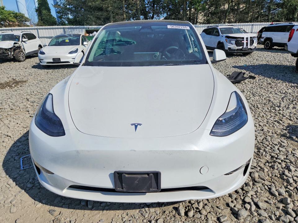 Aukcja sprzedaży 2023 Tesla Model Y, vin: 7SAYGAEE7PF742600, numer aukcji: 56392286