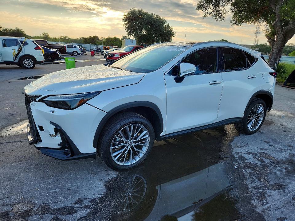 57137026 :رقم المزاد ، 2T2HKCEZ5NC007105 vin ، 2022 Lexus Nx مزاد بيع