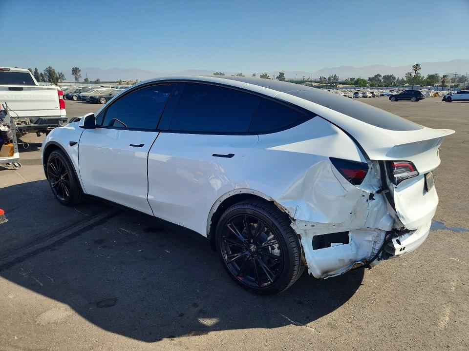 56995346 :رقم المزاد ، 5YJYGDEE7MF202643 vin ، 2021 Tesla Model Y مزاد بيع