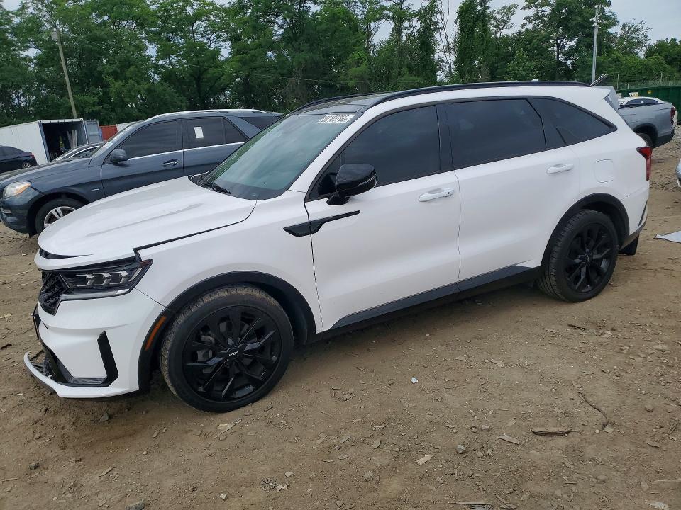Auction sale of the 2023 Kia Sorento, vin: 5XYRK4LF9PG178163, lot number: 58105766