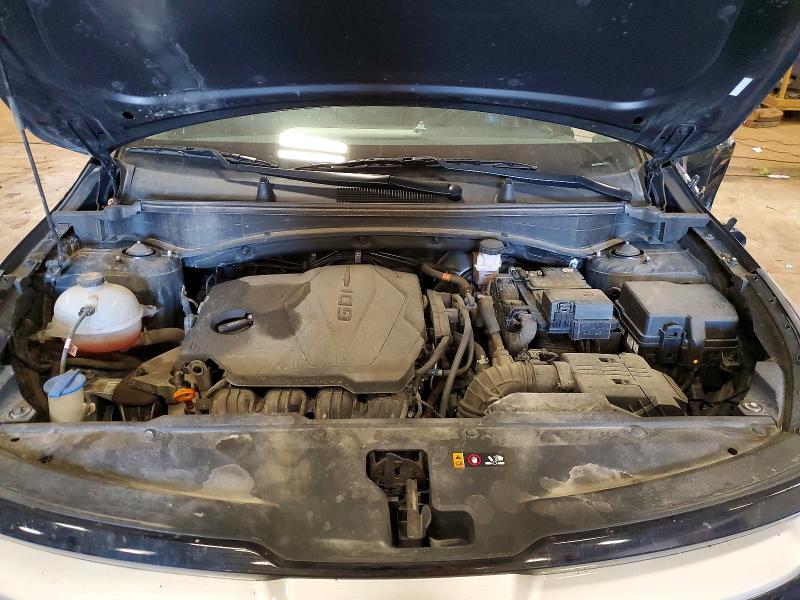 Aukcja sprzedaży 2025 Kia Sportage, vin: 5XYK33DF6SG239209, numer aukcji: 55517316